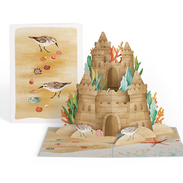 Sunny Summer 3-Pack