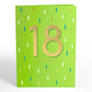 Official Adult 18th Birthday Pop-Up Card