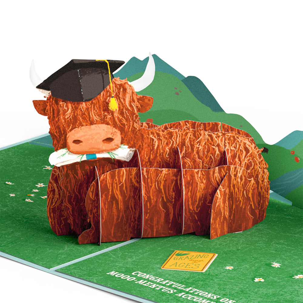 Heard You're Graduating Highland Cow Pop-Up Card