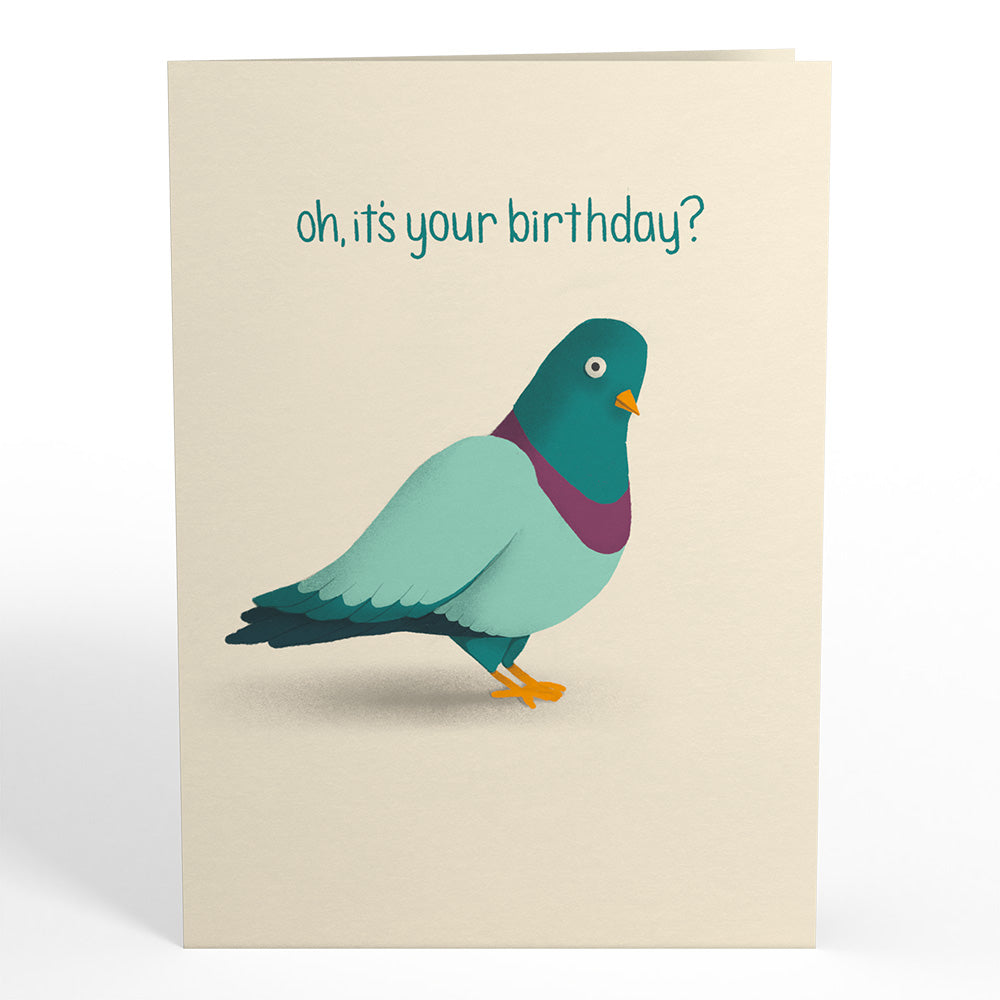 ‘That’s Coo’ Funny Pigeon Birthday Pop-Up Card
