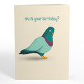 ‘That’s Coo’ Funny Pigeon Birthday Pop-Up Card