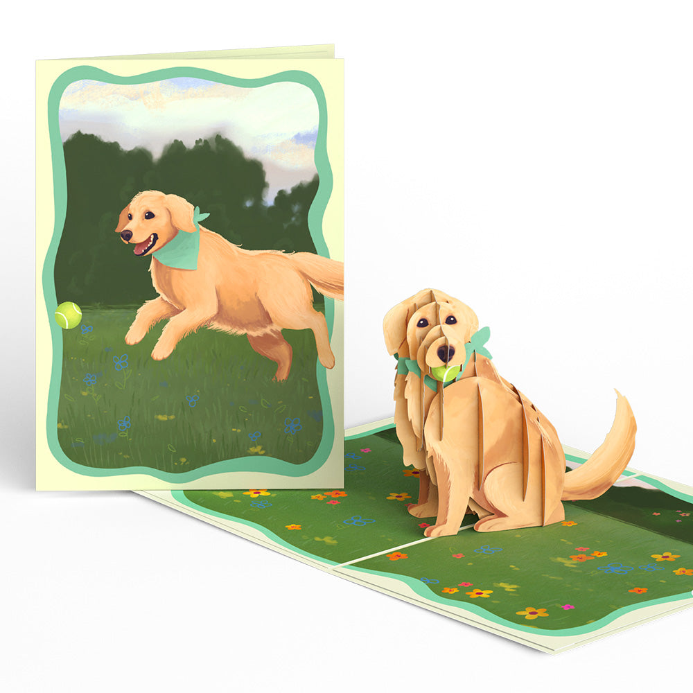 Playful Golden Retriever Pop-Up Card
