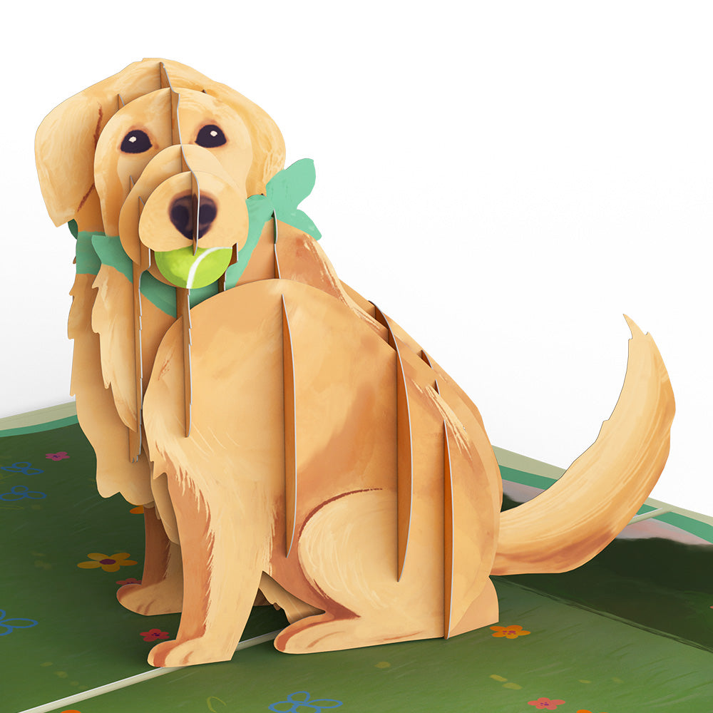 Playful Golden Retriever Pop-Up Card