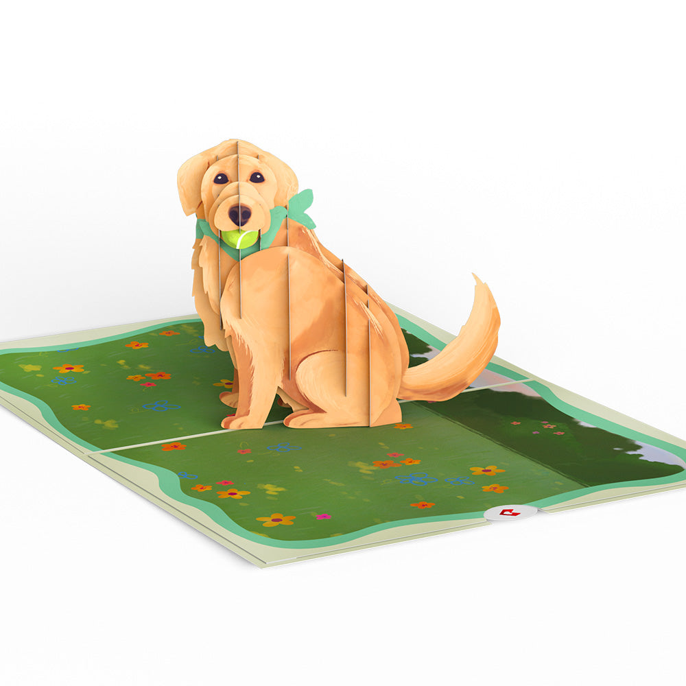 Playful Golden Retriever Pop-Up Card