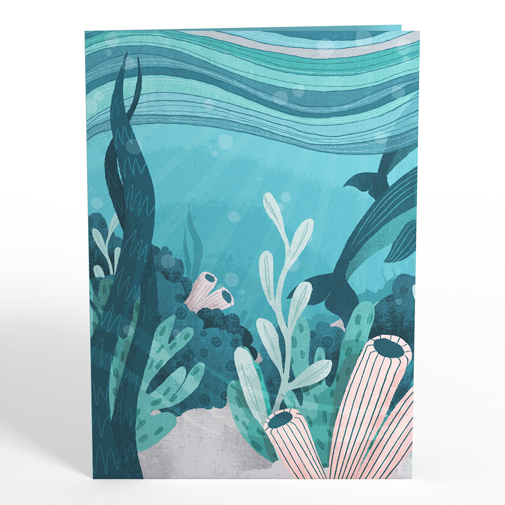 Playful Dolphins Pop-Up Card
