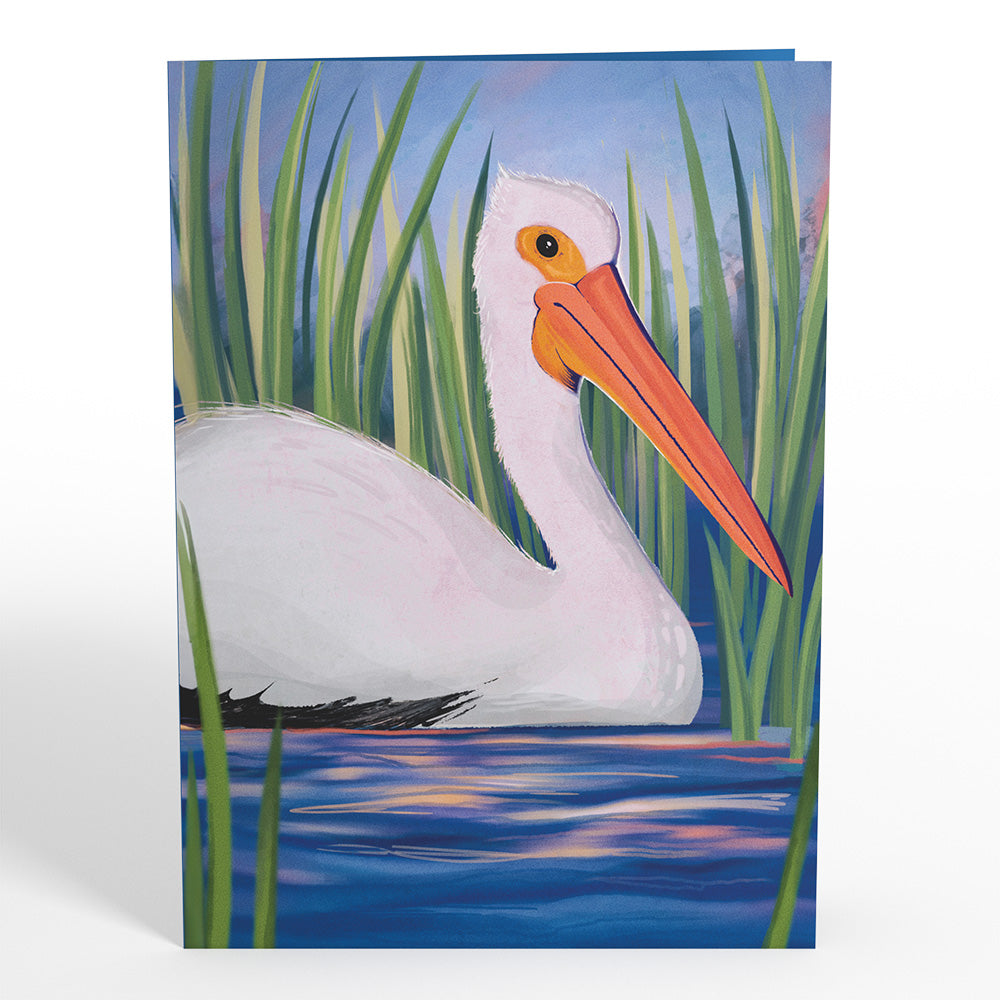 Pelican in the Marsh Pop-Up Card