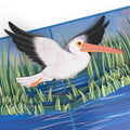 Pelican in the Marsh Pop-Up Card