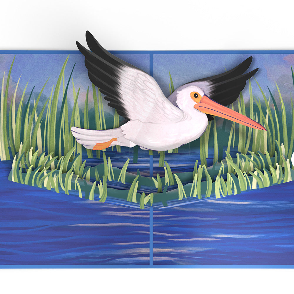Pelican in the Marsh Pop-Up Card