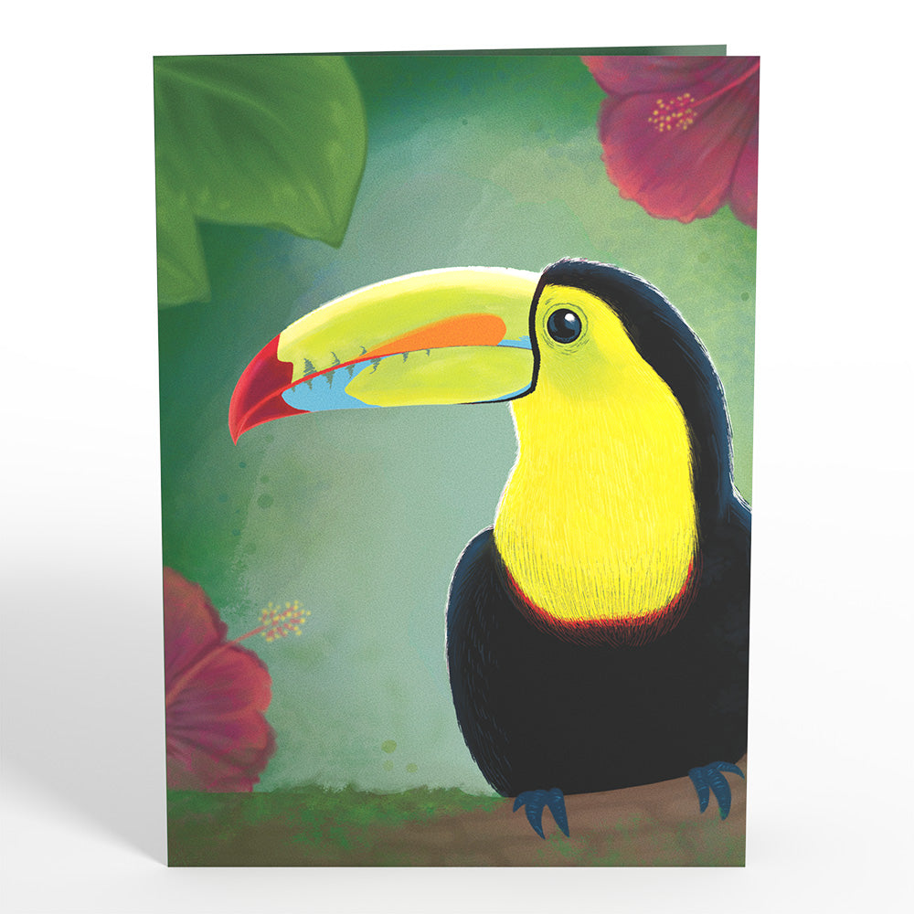 Rainforest Toucan Pop-Up Card