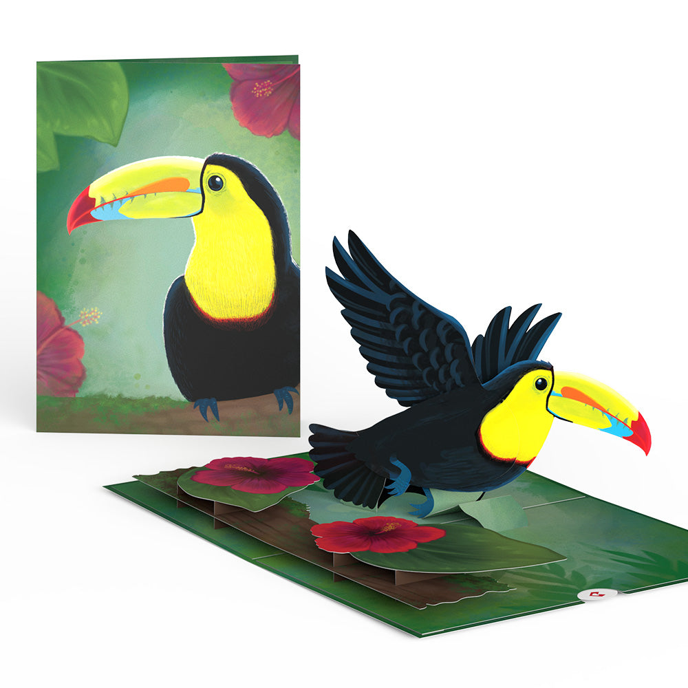 Rainforest Toucan Pop-Up Card