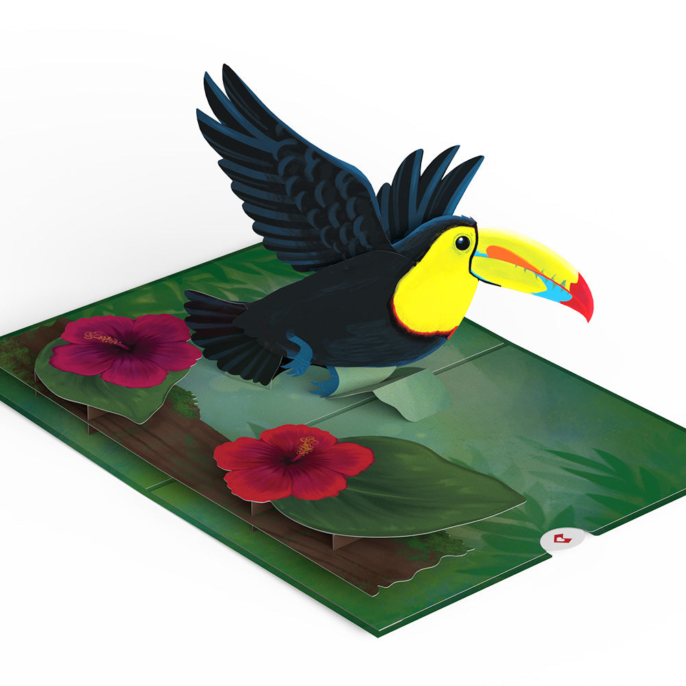 Rainforest Toucan Pop-Up Card