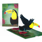 Birds in Flight 3-Pack