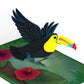 Birds in Flight 3-Pack