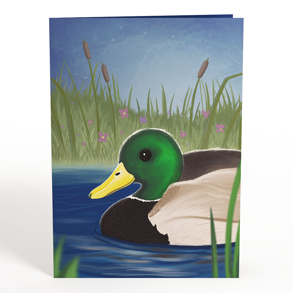 Pondside Mallard Ducks Pop-Up Card