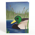 Pondside Mallard Ducks Pop-Up Card