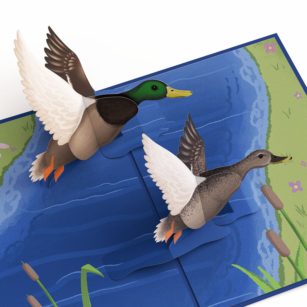 Pondside Mallard Ducks Sympathy Pop-Up Card and Sentiment Set