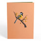 Fall Welcome Pop-Up Card
