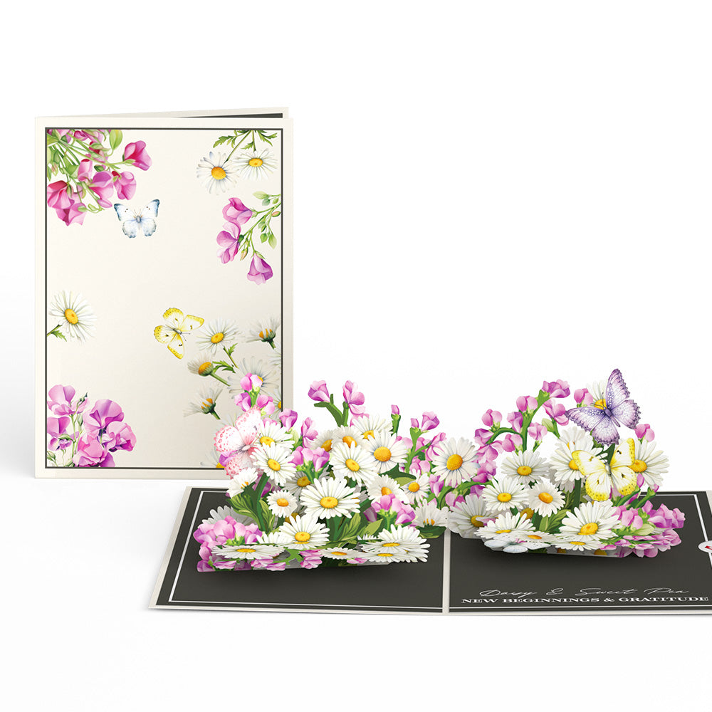 Born to Bloom: A Year of Birth Month Flowers 12-Pack