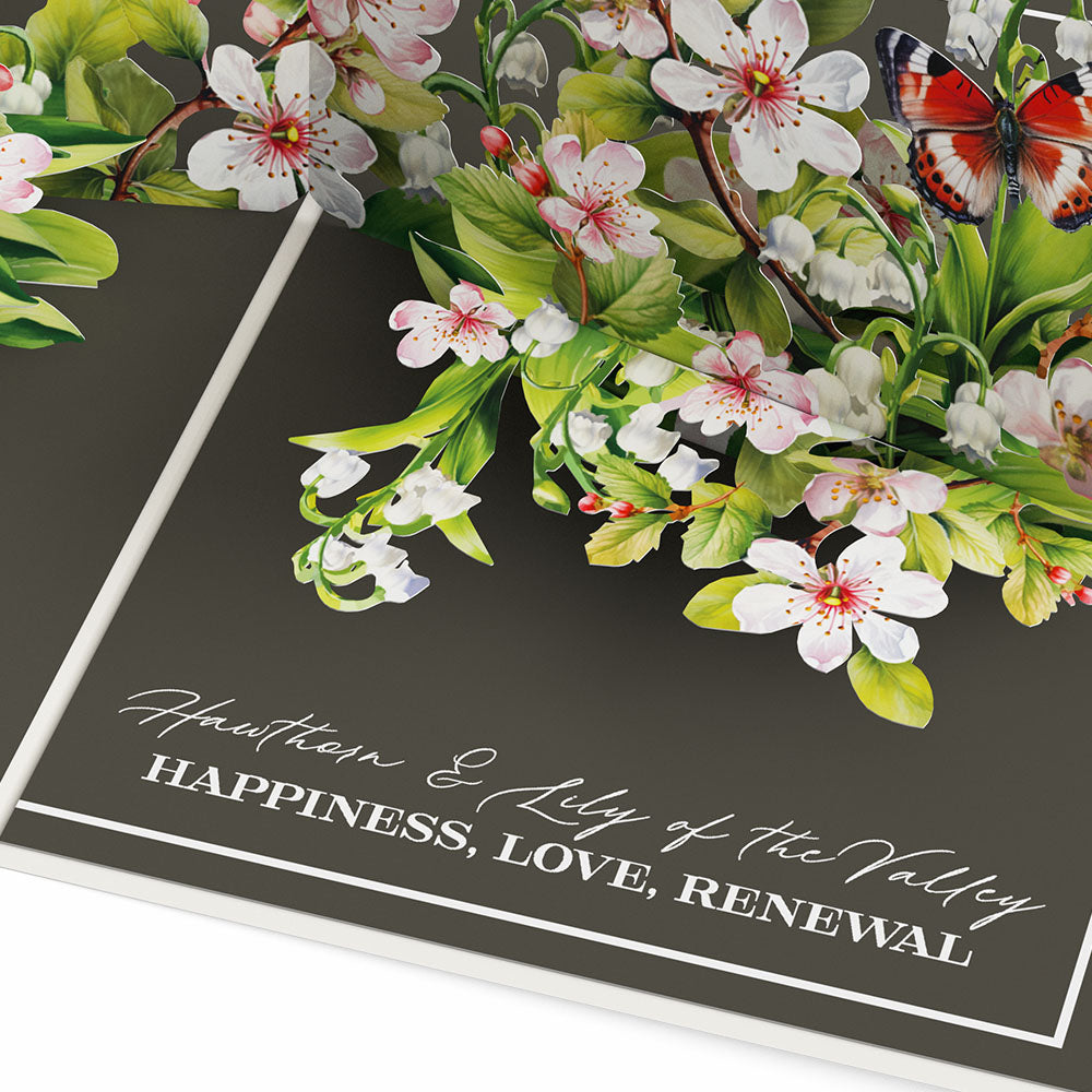 Born to Bloom: A Year of Birth Month Flowers 12-Pack