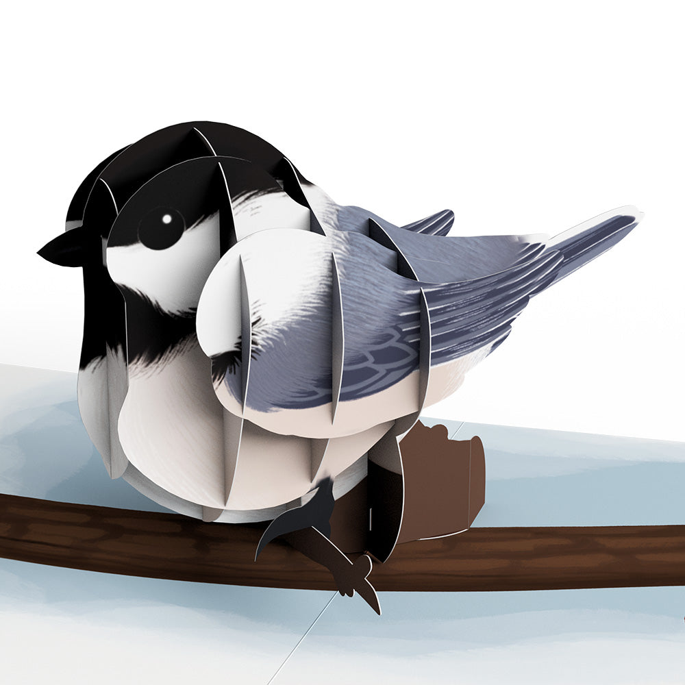 Fall Bird Box Set (Assorted 12-pack): Paperpop® Card