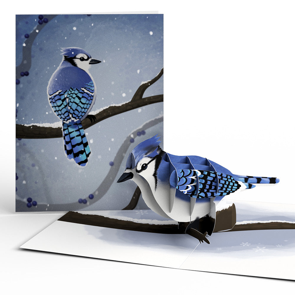 Traditions of Christmas Box Set (Assorted 12-Pack): Paperpop® Card