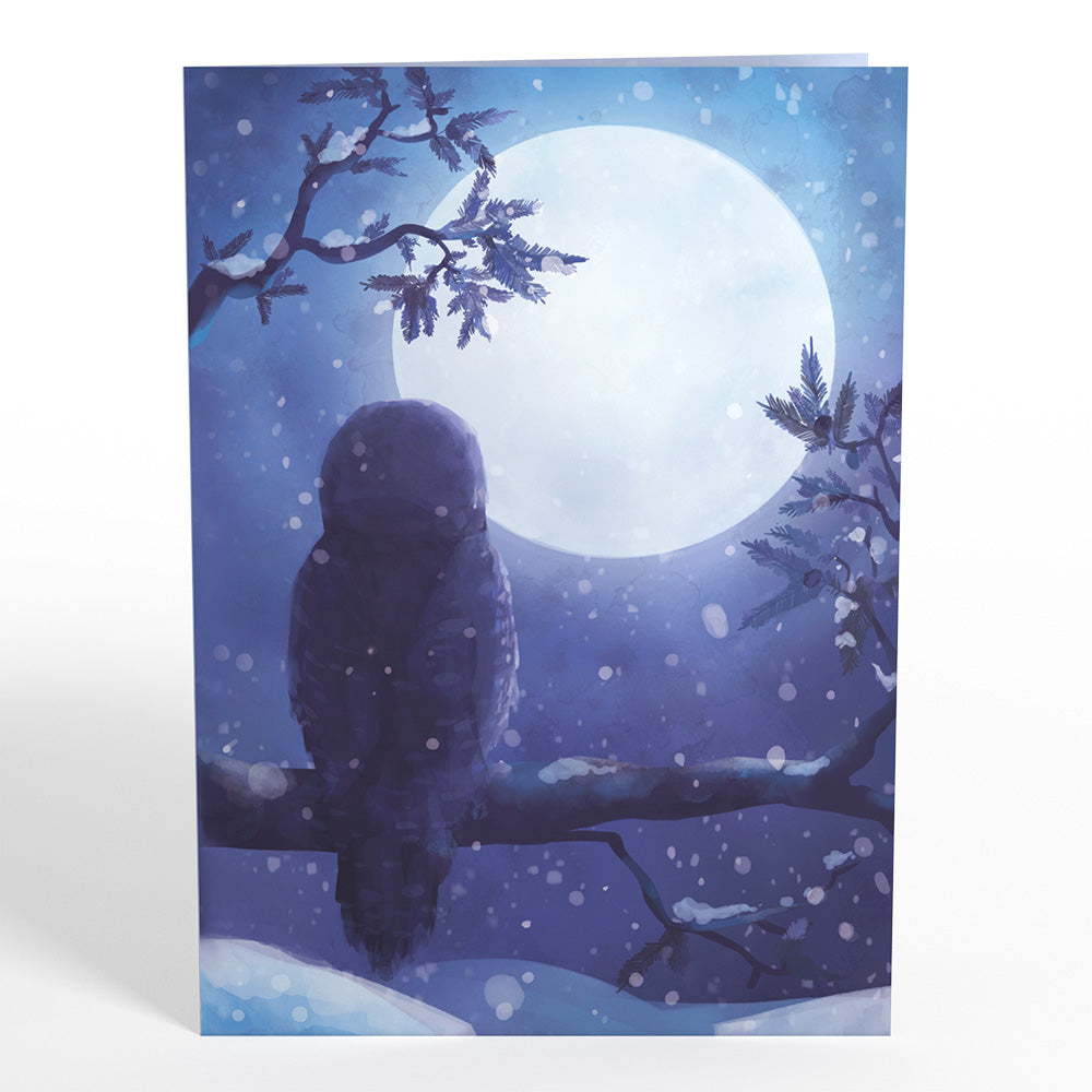 Snowy Owl Pop-Up Card