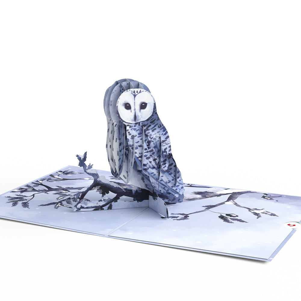 Snowy Owl Pop-Up Card