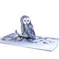 Snowy Owl Pop-Up Card