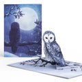 Winter Woodland 5-Pack