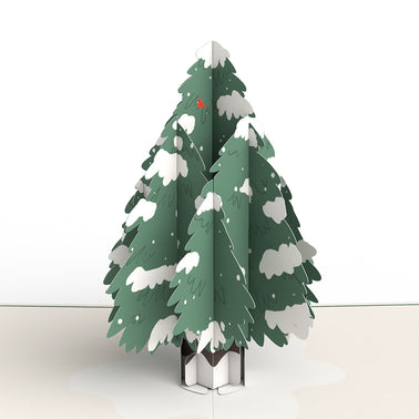 Wintry Holiday Greetings Box Set (Assorted 12-pack): Paperpop® Card