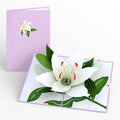 Peace Lily Pop-up Card