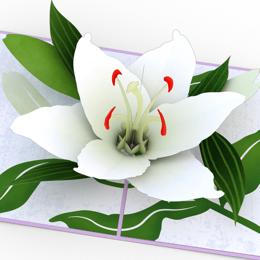 Peace Lily Pop-up Card