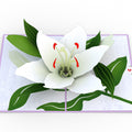 Peace Lily Pop-up Card