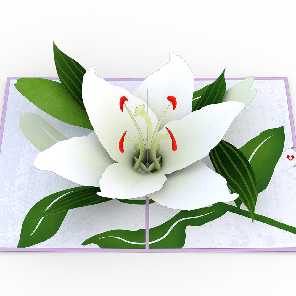 Peace Lily Pop-up Card
