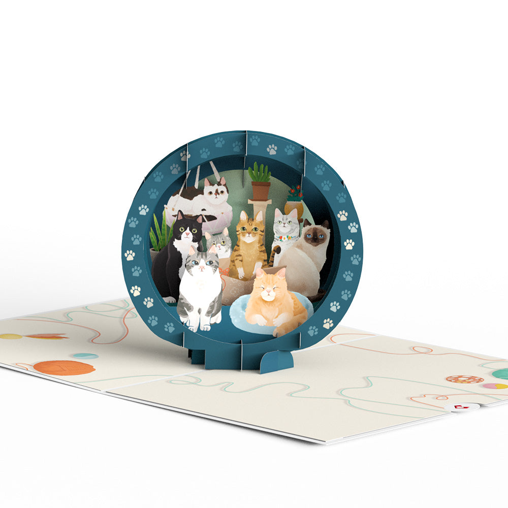 Cat Dad Pop-Up Card