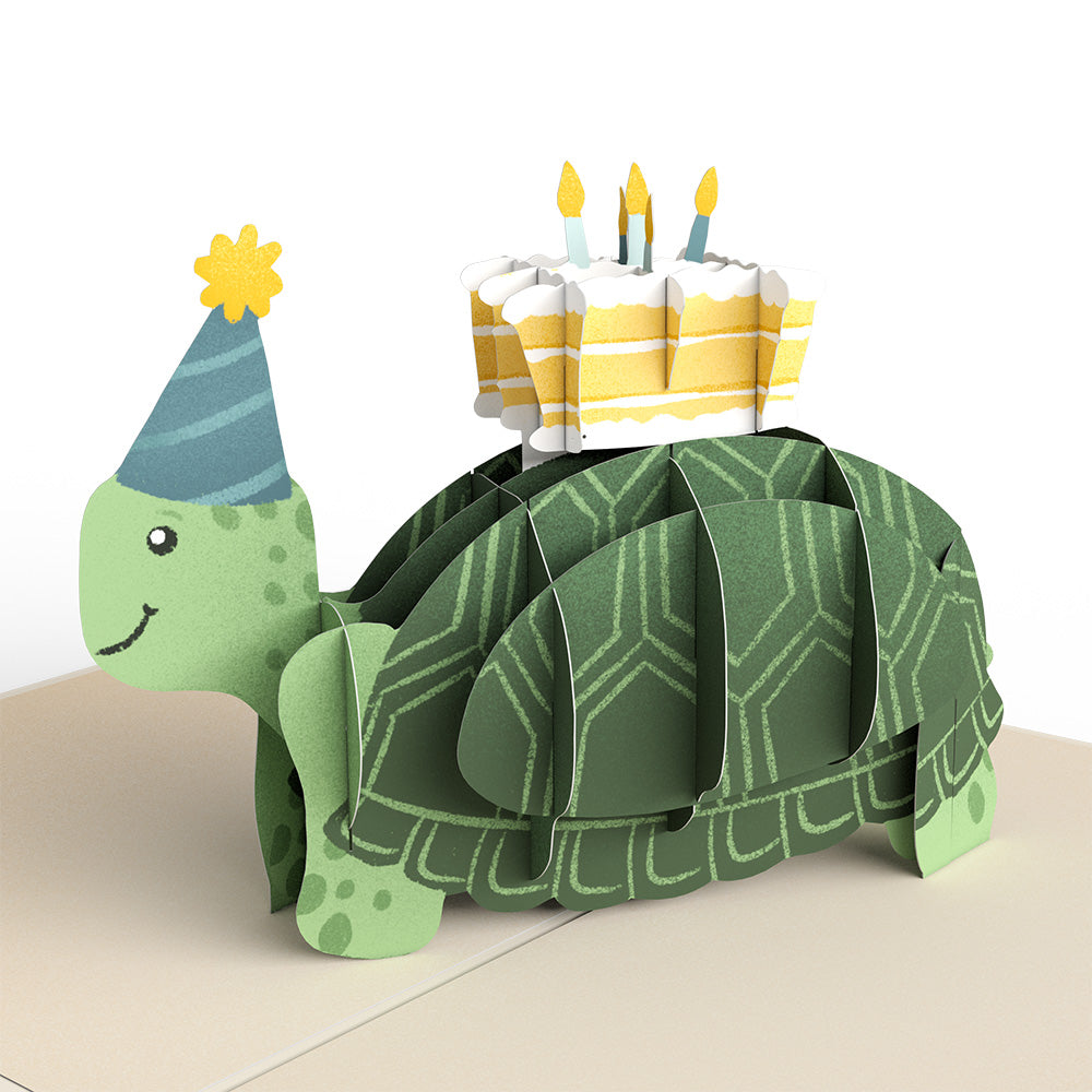 Birthday Turtle Pop-Up Card