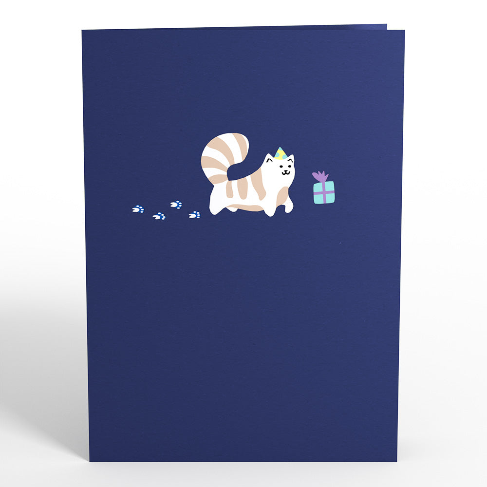 Playful Cats Birthday Pop-Up Card