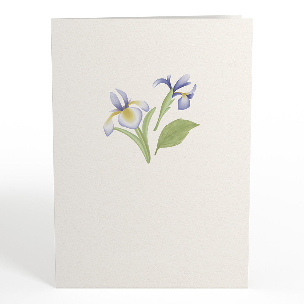 Tranquil Blooms Pop-Up Card