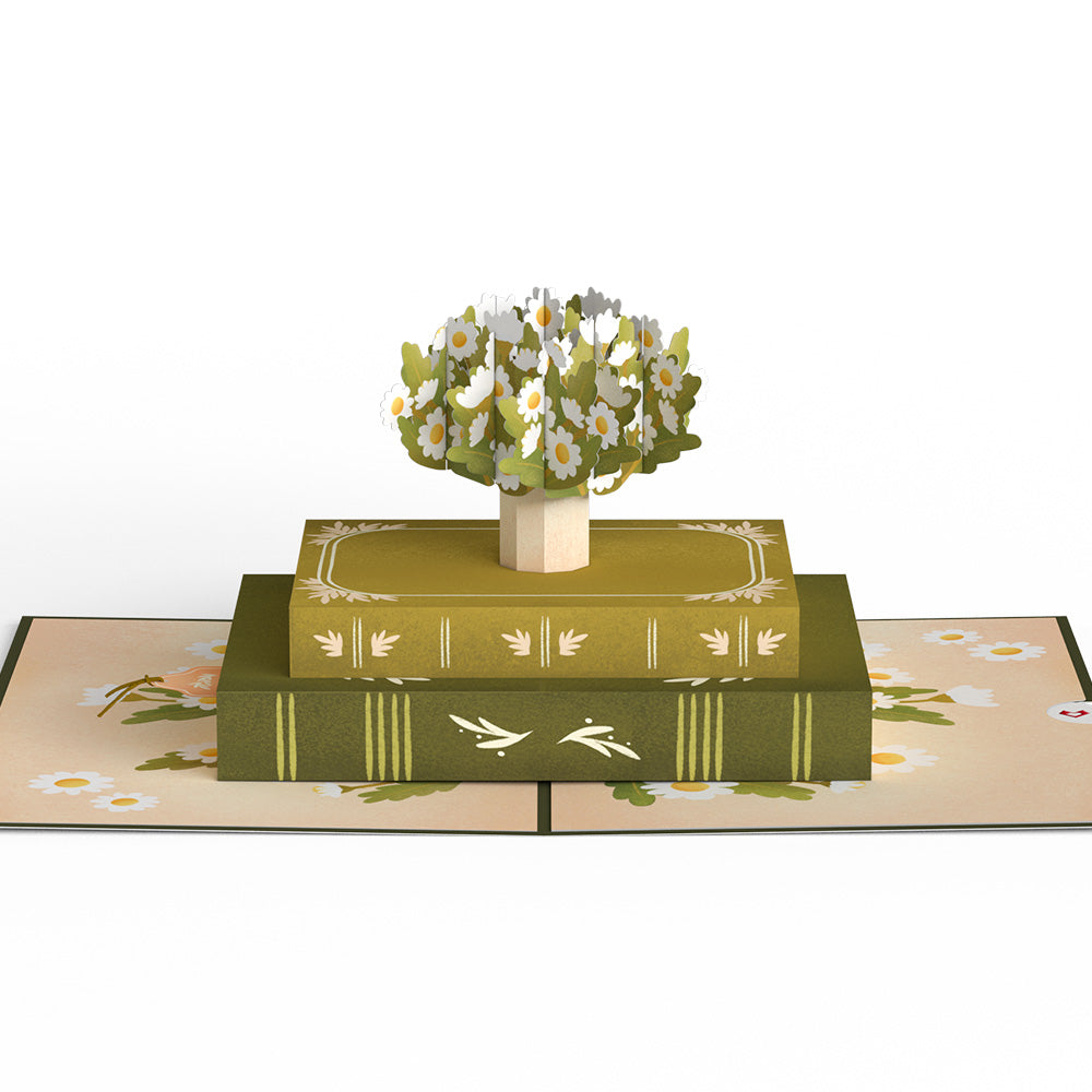 Ornate Books Pop-Up Card