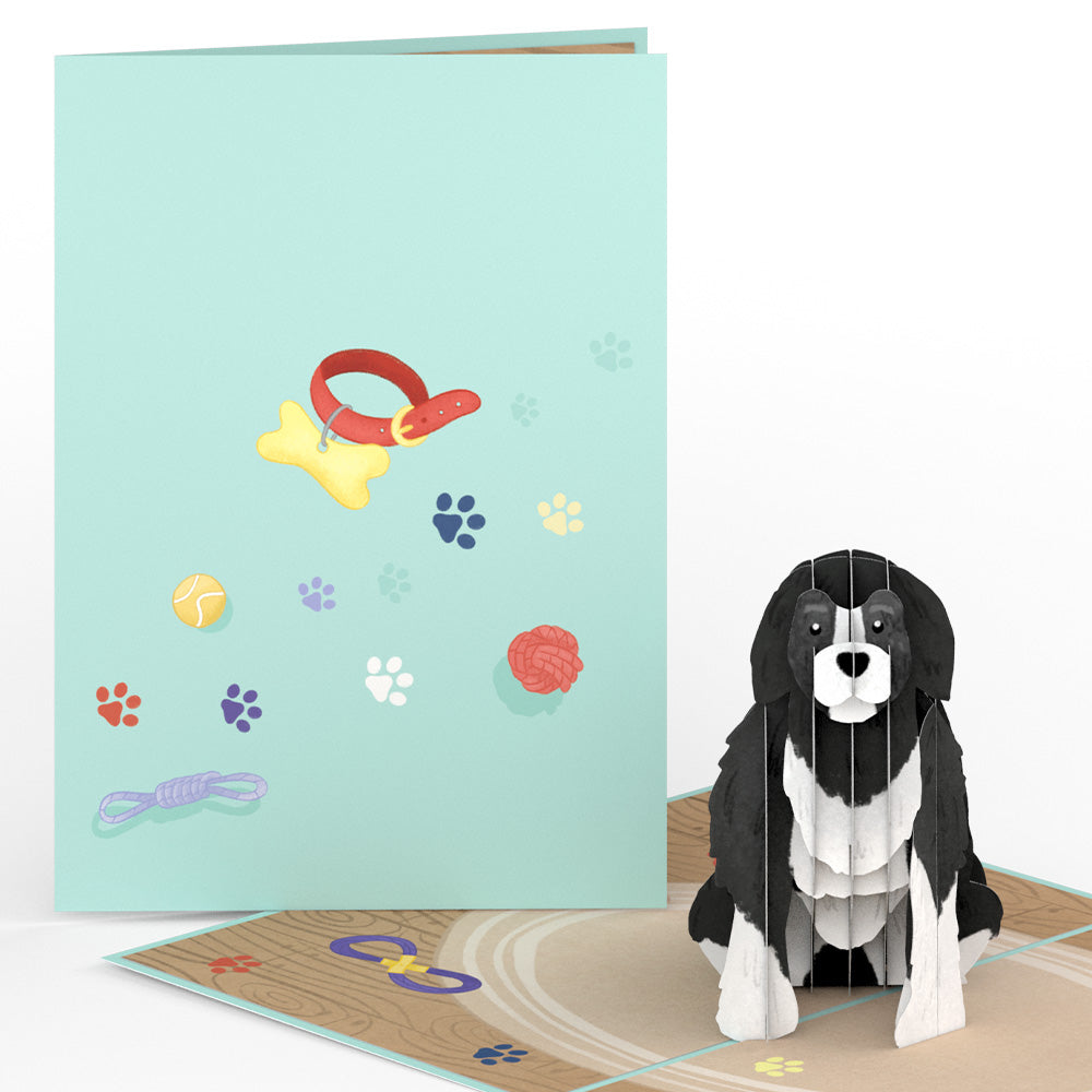 Playful Dog Pop-Up Card