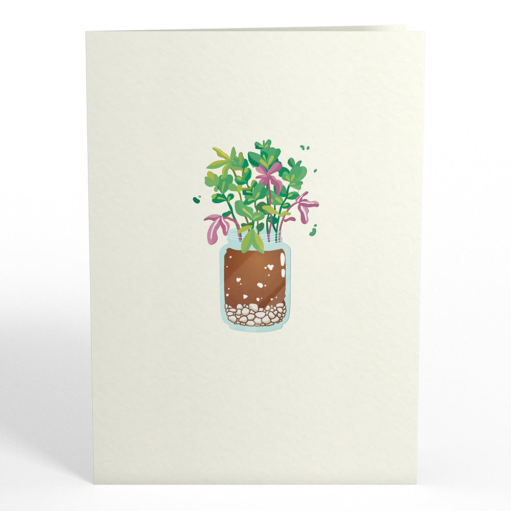 Birthday Houseplants Pop-Up Card