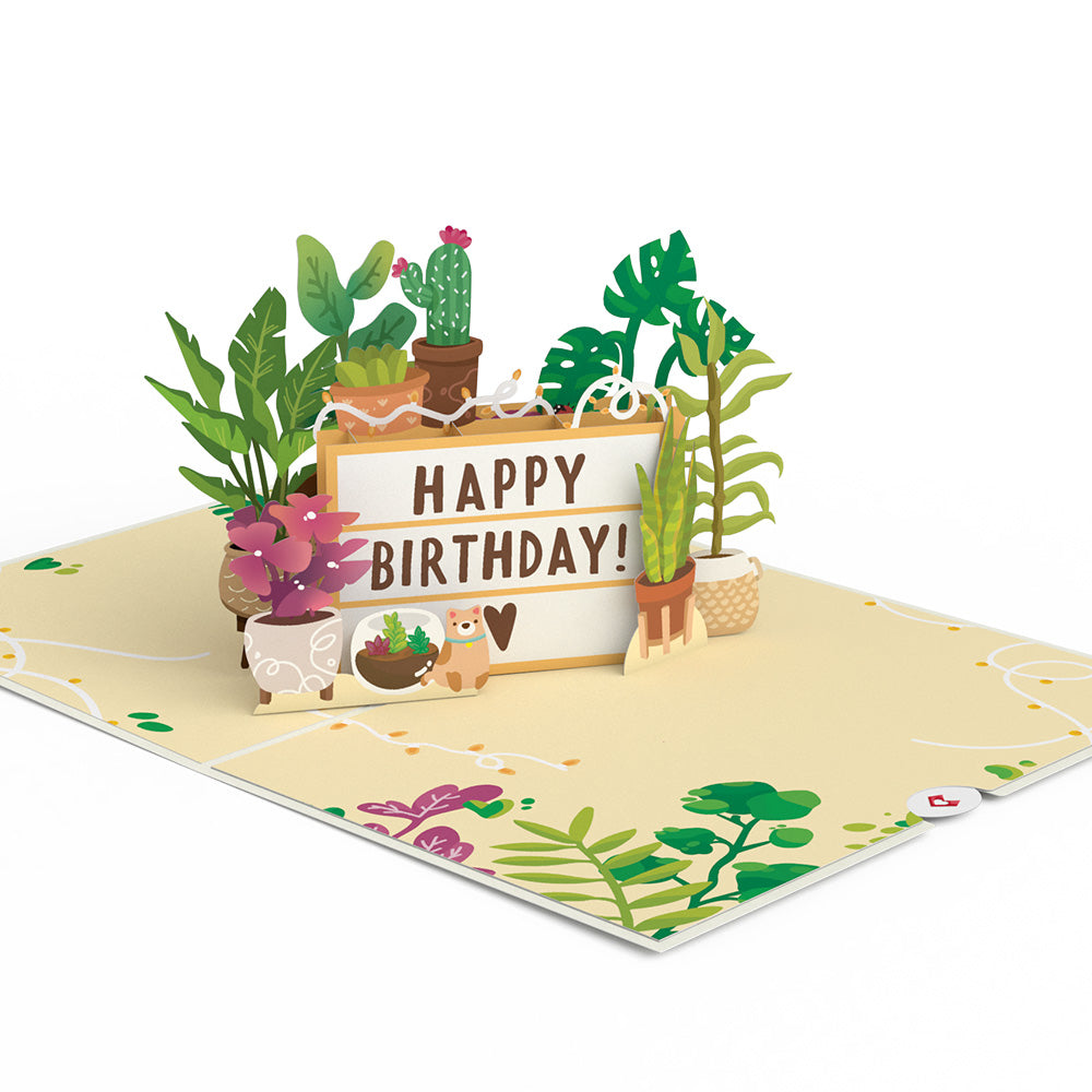 Birthday Houseplants Pop-Up Card