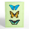 Butterflies in Flight Pop-Up Card