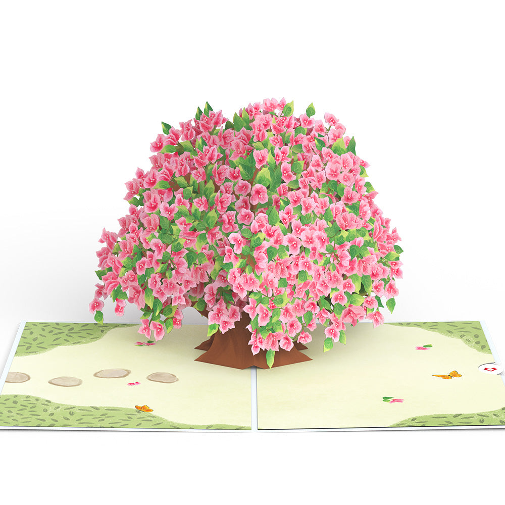 Bougainvillea Garden Pop-Up Card