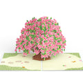 Bougainvillea Garden Pop-Up Card