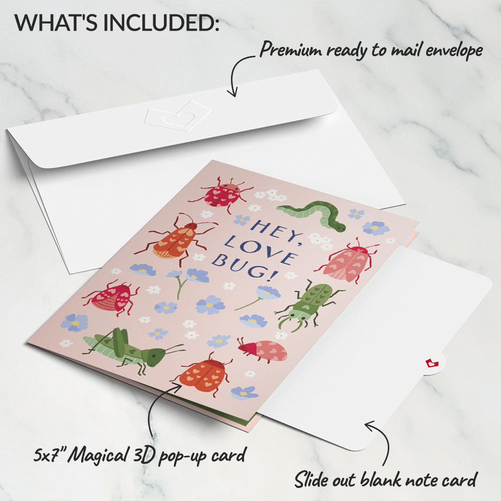 Hey, Love Bug! Pop-Up Card
