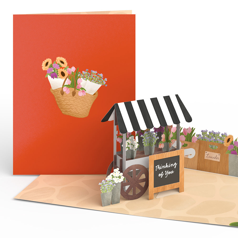 Moments That Matter Box Set (Assorted 12-pack): Paperpop® Card