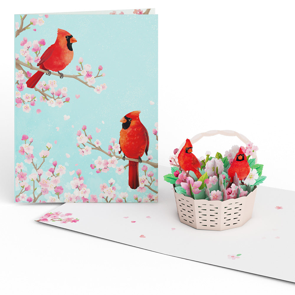 Moments That Matter Box Set (Assorted 12-pack): Paperpop® Card