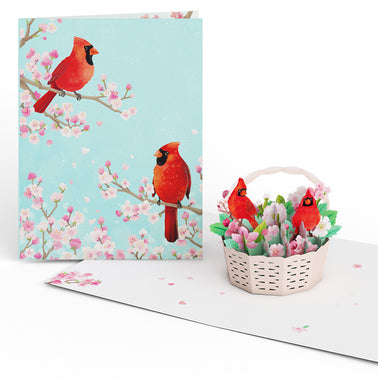 Moments That Matter Box Set (Assorted 12-pack): Paperpop® Card