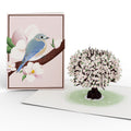 Moments That Matter Box Set (Assorted 12-pack): Paperpop® Card